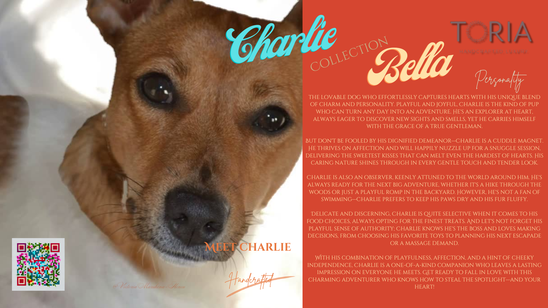 Charlie: The Bold and Curious from Charlie & Bella Collection: The Beginner Range https://www.toria.ie